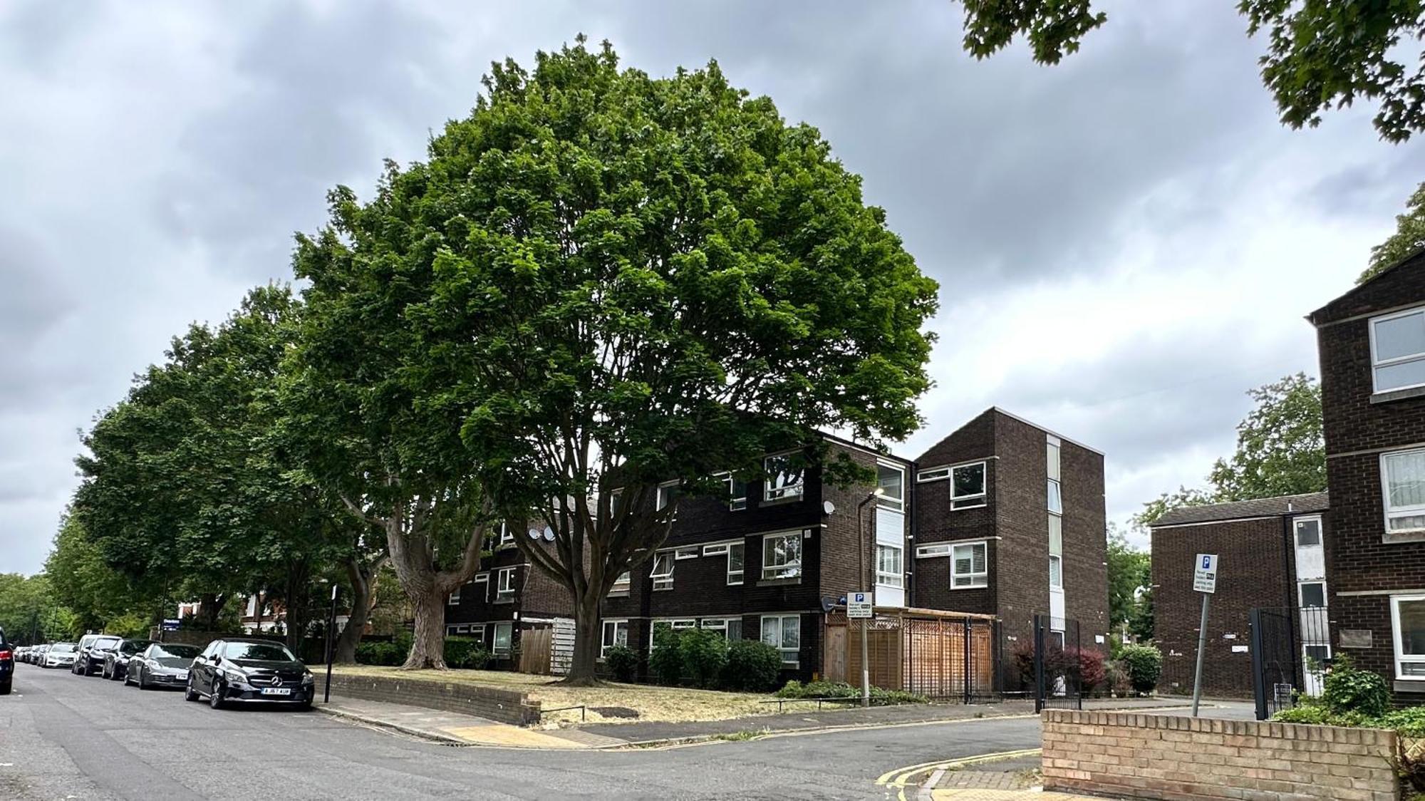Appartamento Newly Refurbished 3 Bed Flat Free Parking
